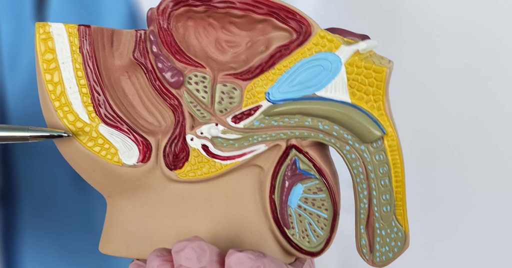 Análise dos temas mais frequentes no TISBU